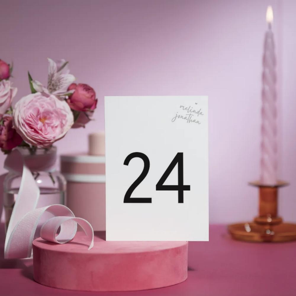 GISELLE Minimalist Table Numbers